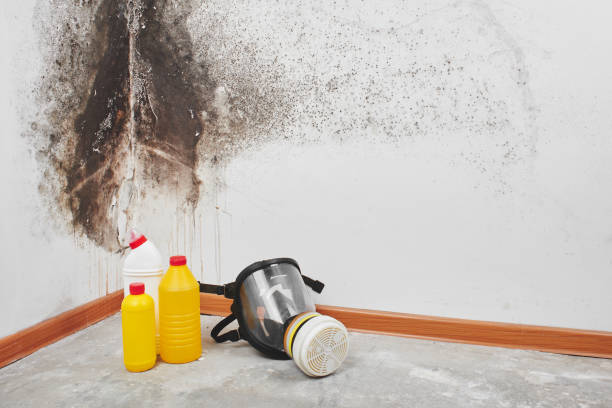 Water Damage Restoration in Nesquehoning, PA